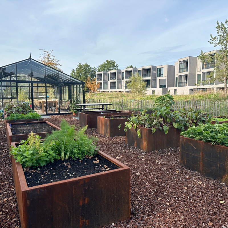 Podwyższone grządki z cortenu