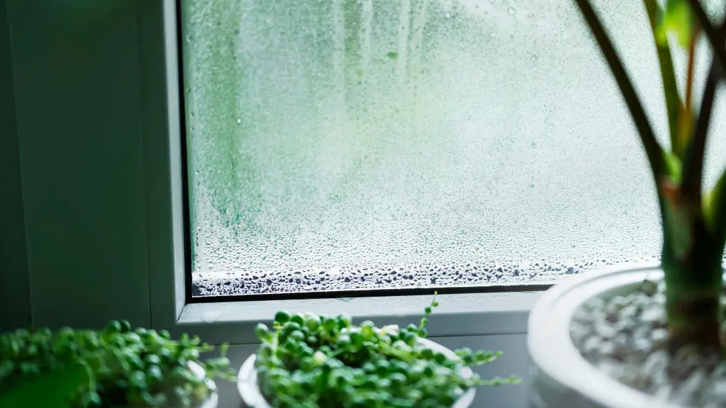 Ciepłe wnętrze, zimna szyba i… para. Skąd się bierze kondensacja w domu?