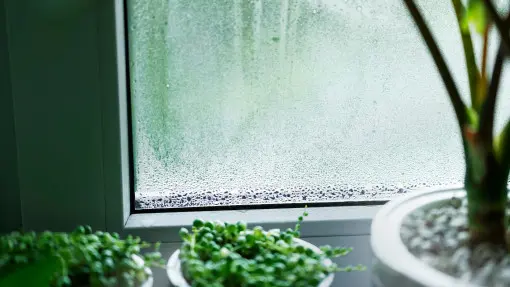 Wilgoć na oknach zimą? To nie wina pogody! Poznaj przyczyny kondensacji pary