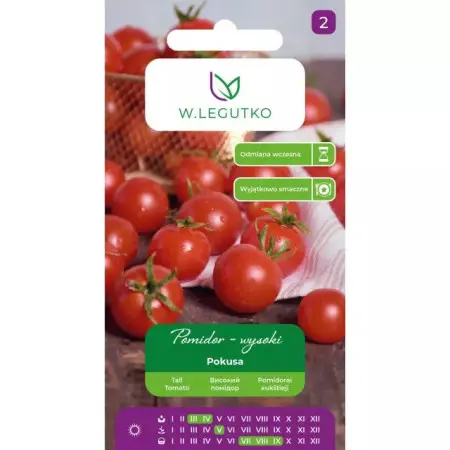 Nasiona pomidora Pokusa