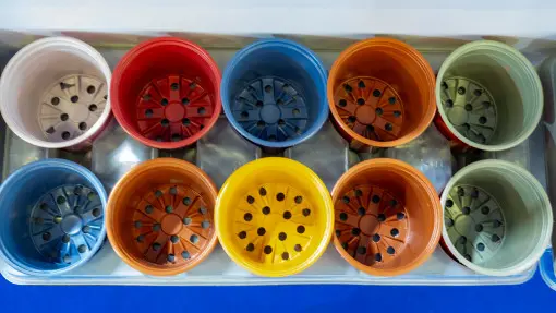 Koniec plastikowych doniczek? Unijne przepisy zmienią ogrodnictwo. Od kiedy nie kupisz?