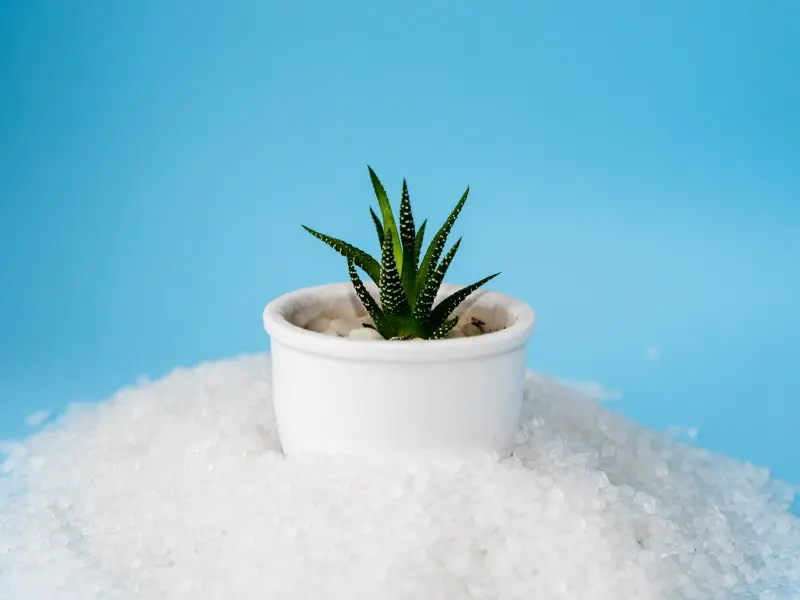 Mała roślina doniczkowa w białej doniczce, ustawiona na granulacie eko polimeru – symbol potrzeby zmian w produkcji opakowań.