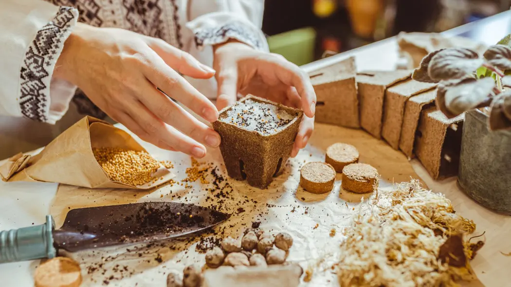Zrób to przed siewem, a rośliny odwdzięczą się siłą! Proste sposoby, które działają