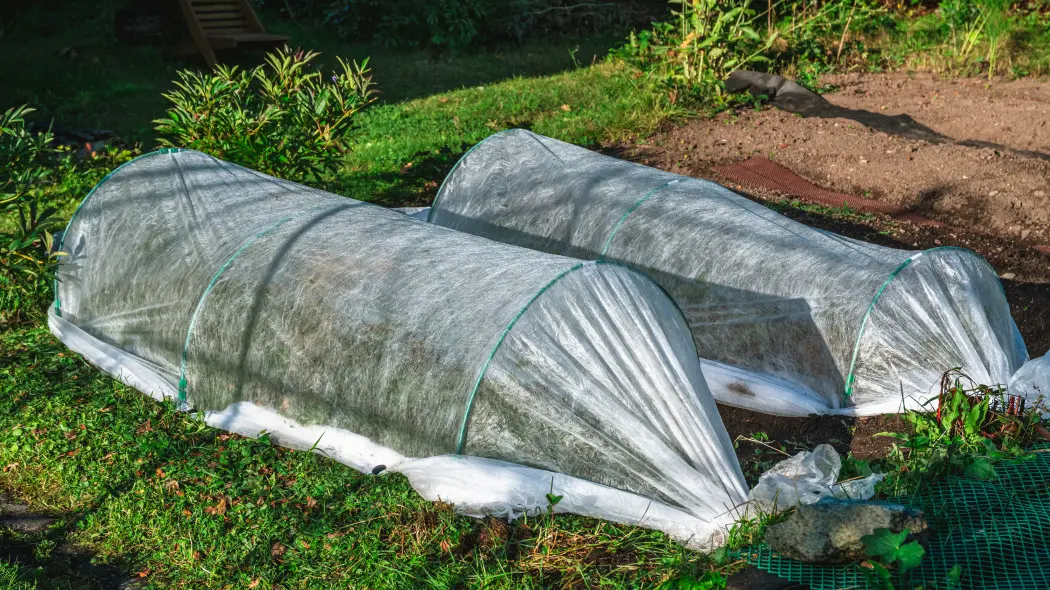 Okryciowa agrowłóknina wiosenna