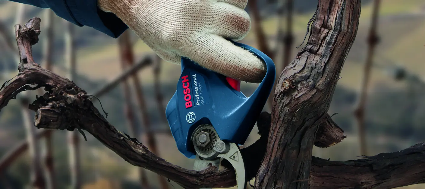 Masz dość bólu dłoni po cięciu? Sprawdź, jak działa akumulatorowy sekator Bosch