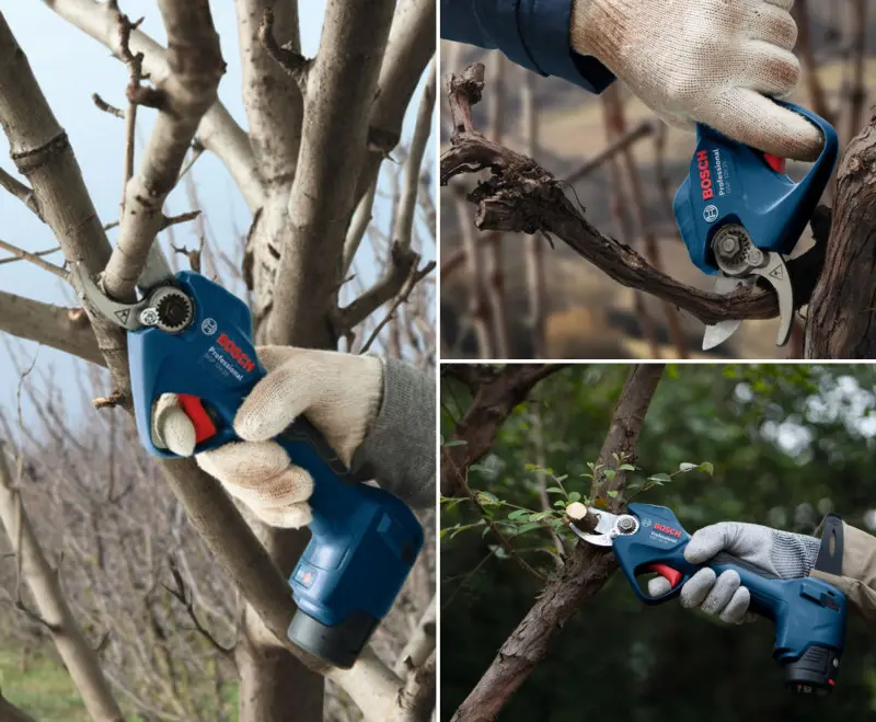 4500 cięć bez ładowania. Tak działa akumulatorowy sekator Bosch GGP