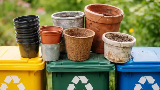Gdzie wyrzucić doniczki plastikowe, metalowe i ceramiczne? Kosz na śmieci, recykling czy PSZOK?