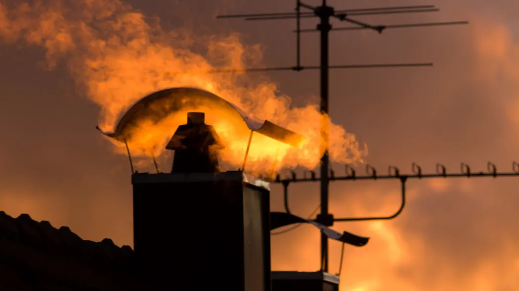 Czy można palić mokrym drewnem?