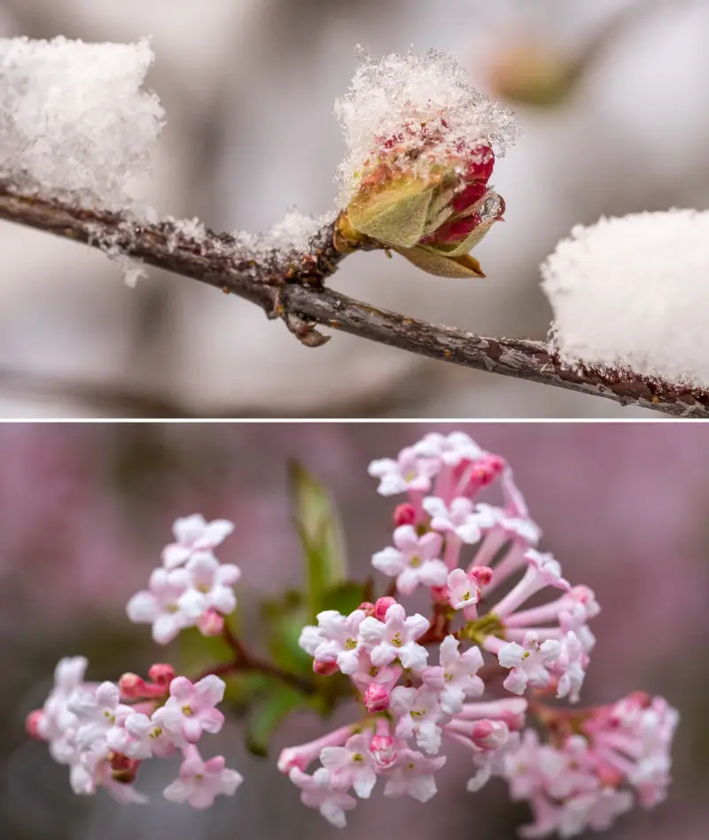Kolor i zapach w środku zimy