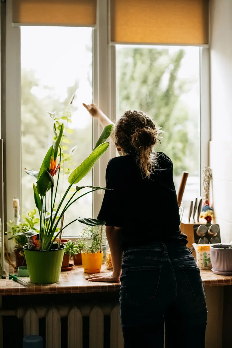 Wietrzenie zgodnie z zasadami Lüften