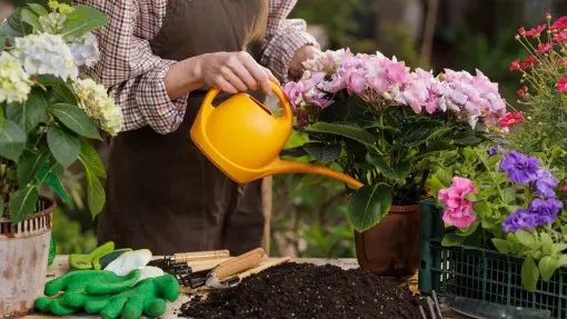 Sprytne rozwiązanie w czasie upałów i suszy. Jak oszczędzać wodę i podlewać mniej?