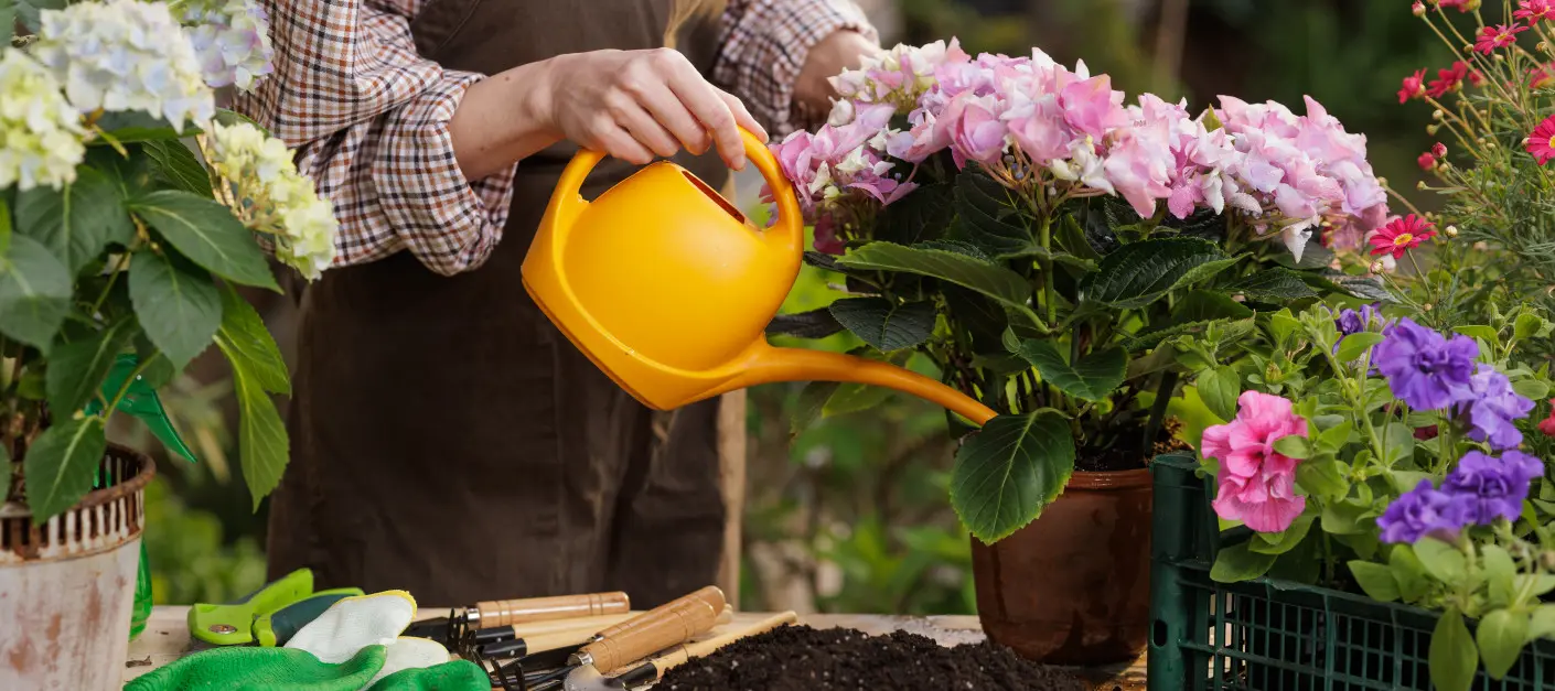 Naturalne wsparcie dla roślin w czasie suszy i upałów
