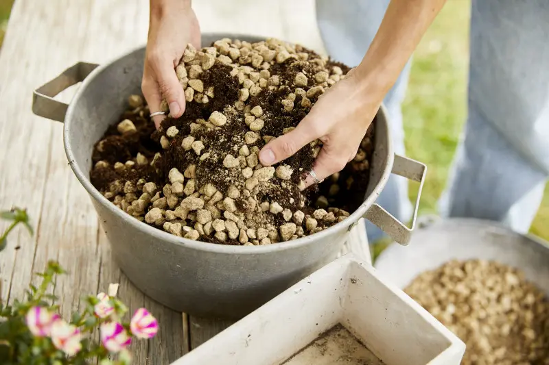 Granuplant jako dodatek do ziemi w doniczce