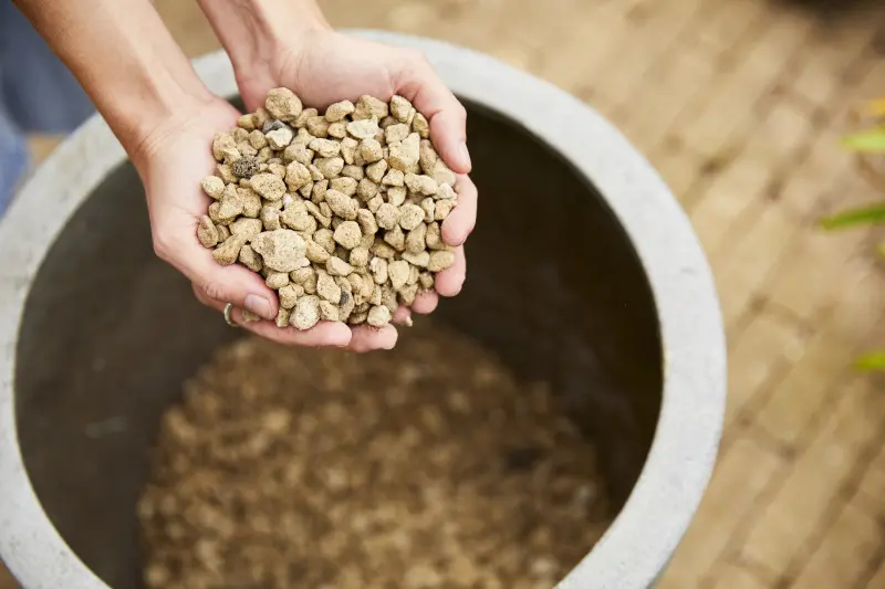 Granuplant jako drenaż na dnie doniczki
