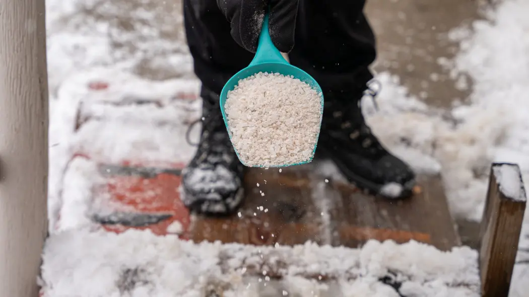 Zanim wysypiesz sól – przeczytaj to. Kilka zamienników uratuje Twój ogród i kostkę