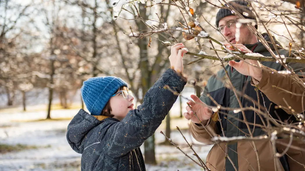 To najlepszy sposób, by nie było szkodników. Zacznij od przeglądu przed sezonem