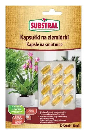 Kapsułki na ziemiórki