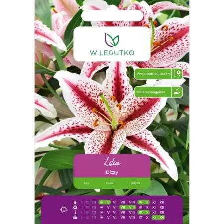 Lilia Dizzy biało-wiśniowa, nakrapiana