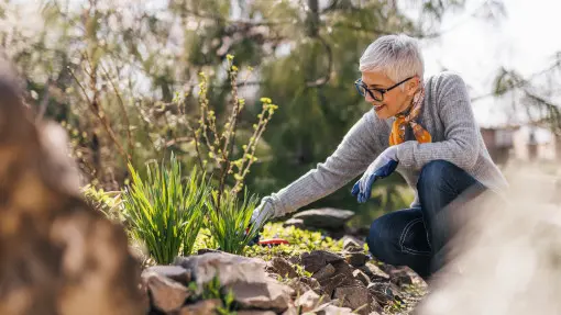 Wiosna przyjdzie szybciej niż myślisz. Co zrobić już teraz, żeby nie nadganiać w marcu?