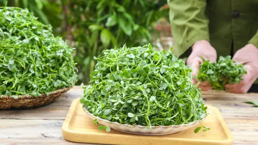 Superfoods z parapetu – plon w 7–14 dni