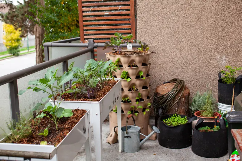 Balkon może stać się pełnoprawnym warzywnikiem, jeśli dobrze zaplanuje się przestrzeń i wykorzysta różne typy pojemników