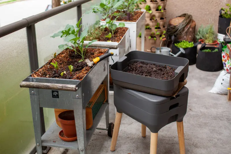 Domowy kompost zmniejsza ilość odpadów i ogranicza konieczność kupowania gotowych podłoży do warzyw