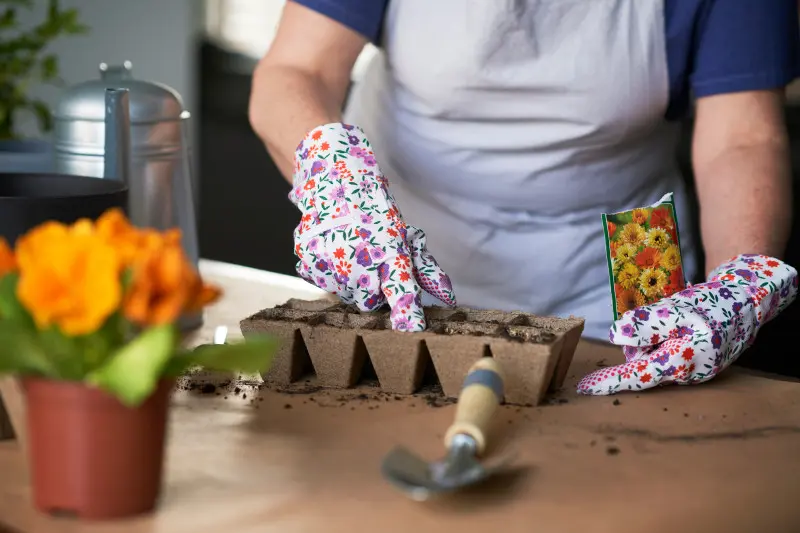 Rośliny jednoroczne z nasion