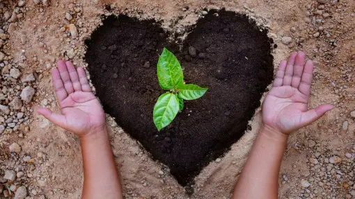 Mniej chemii w ogrodzie? Postaw na naturalne wsparcie gleby i roślin