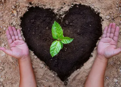 Mniej chemii w ogrodzie? Postaw na naturalne wsparcie gleby i roślin