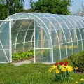 Tunel foliowy do ogrodu – na co zwrócić uwagę, by wybrać trwałą konstrukcję?