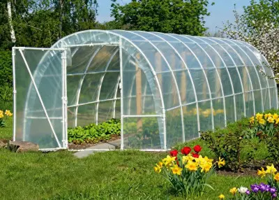 Tunel foliowy do ogrodu – na co zwrócić uwagę, by wybrać trwałą konstrukcję?