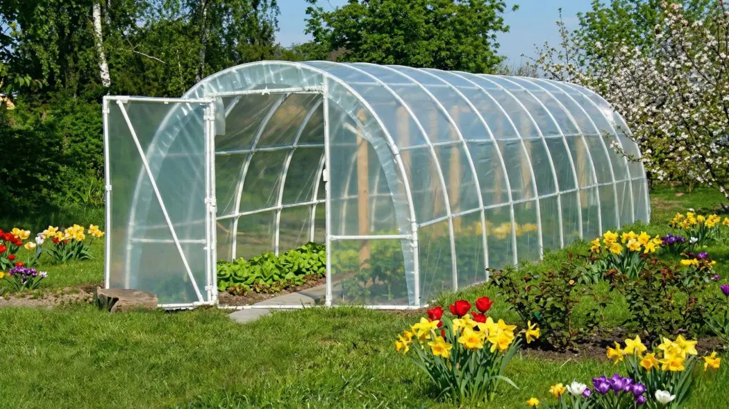 Tunel foliowy do ogrodu 