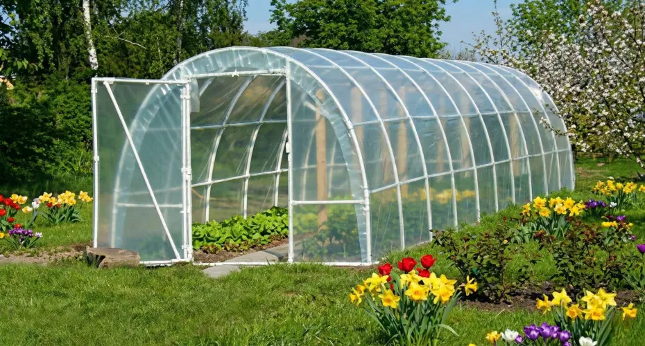 Tunel foliowy do ogrodu – na co zwrócić uwagę, by wybrać trwałą konstrukcję?