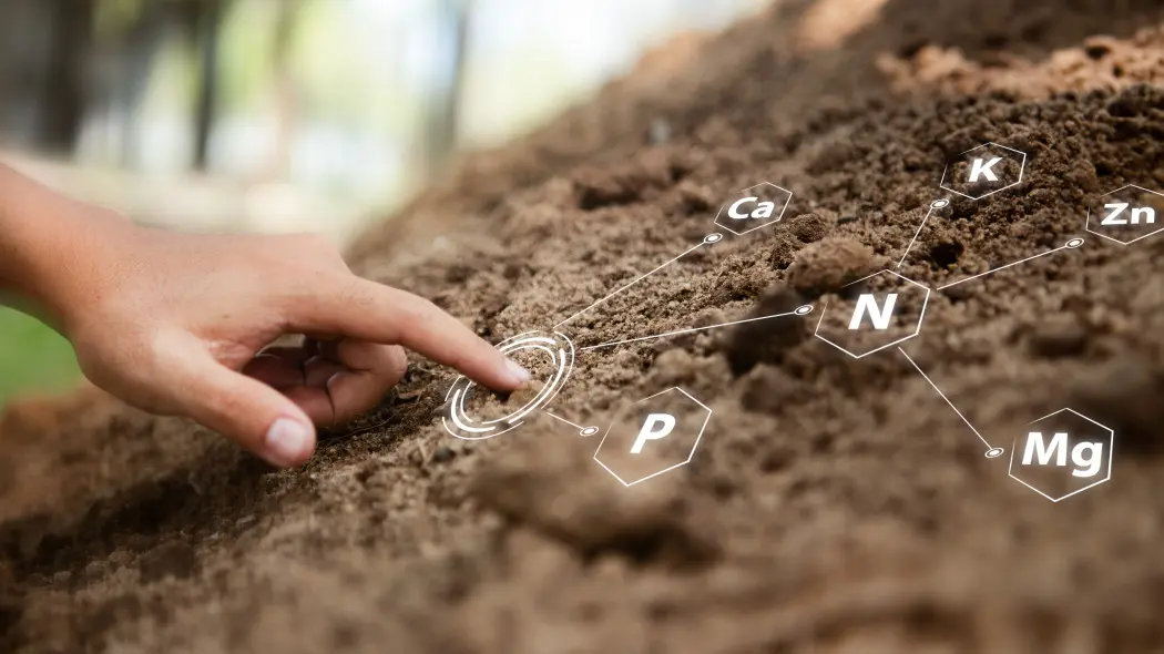 Gleba przed sezonem. Jak zbadać żyzność, właściwości i odczyn? I jak poprawić
