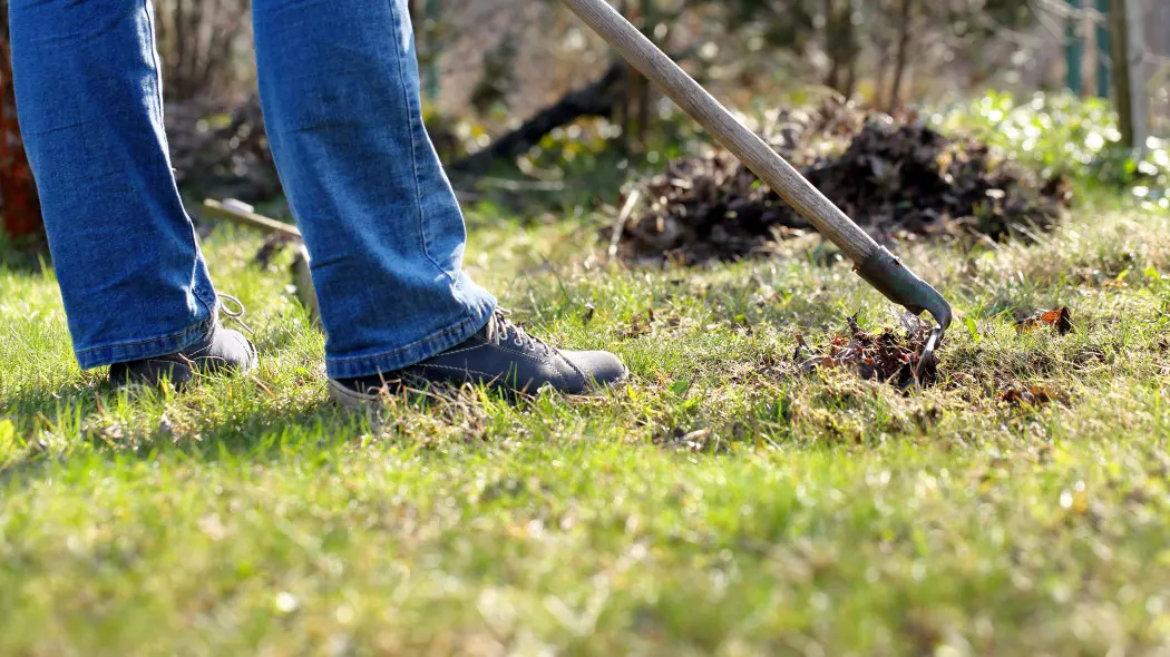 Kiedy zreanimować trawnik po zimie? Termin ma znaczenie, a pośpiech nie jest wskazany