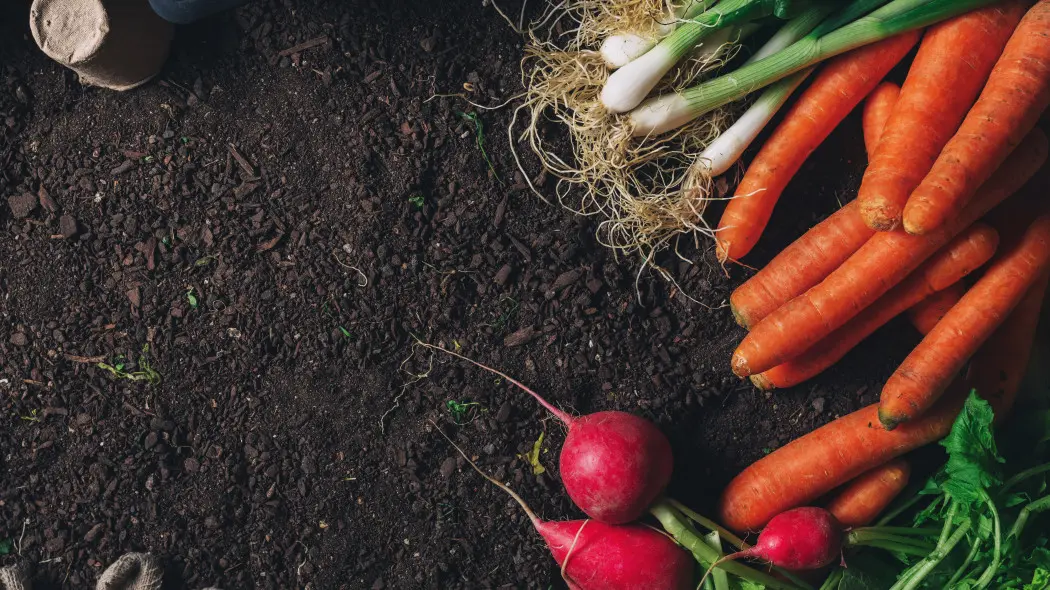 Najlepsza ziemia pod warzywa