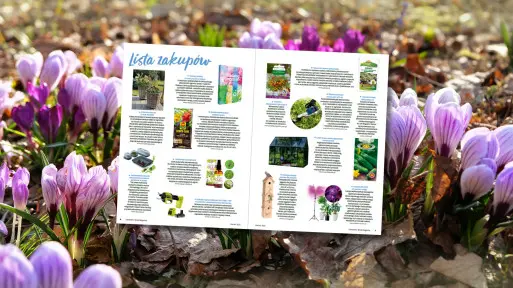 Co kupić przed sezonem? Marcowa lista zakupów dla ogrodnika