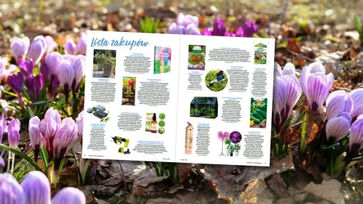 Co kupić przed sezonem? Marcowa lista zakupów dla ogrodnika