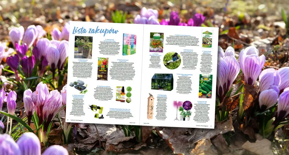 Co kupić przed sezonem? Marcowa lista zakupów dla ogrodnika