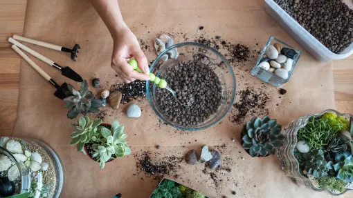 Po co keramzyt do roślin doniczkowych? Jaki wybrać i jak stosować?