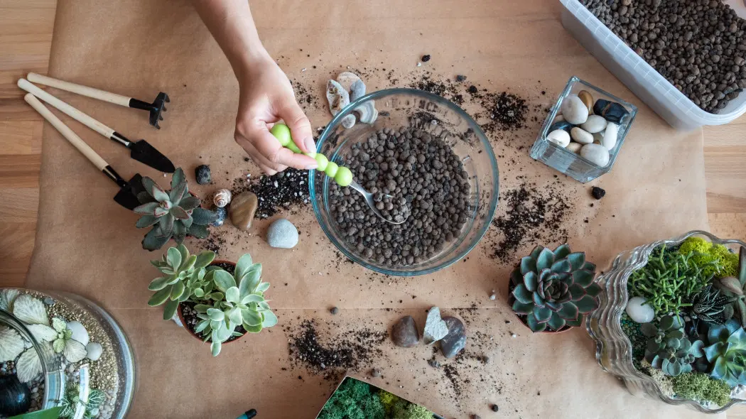 Keramzyt do roślin doniczkowych