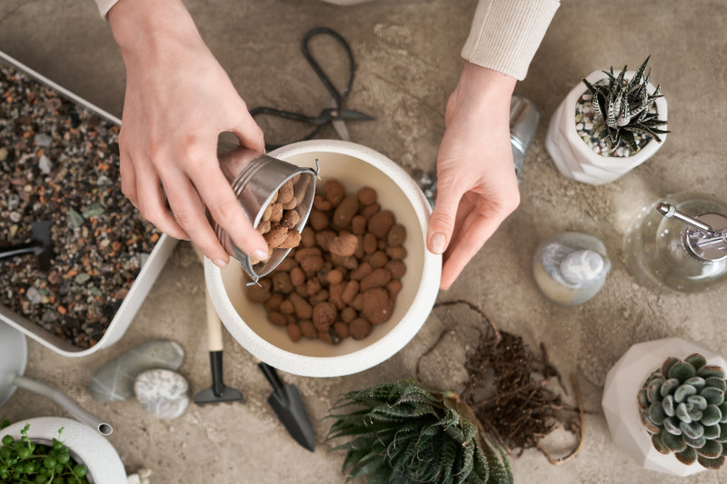 Po co wsypywać keramzyt na dno doniczki?