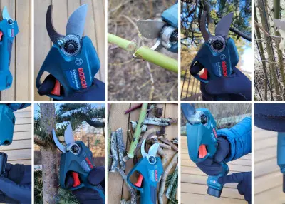 Sekator akumulatorowy Bosch – jak działa i czy warto go mieć? Testujemy w naszym ogrodzie