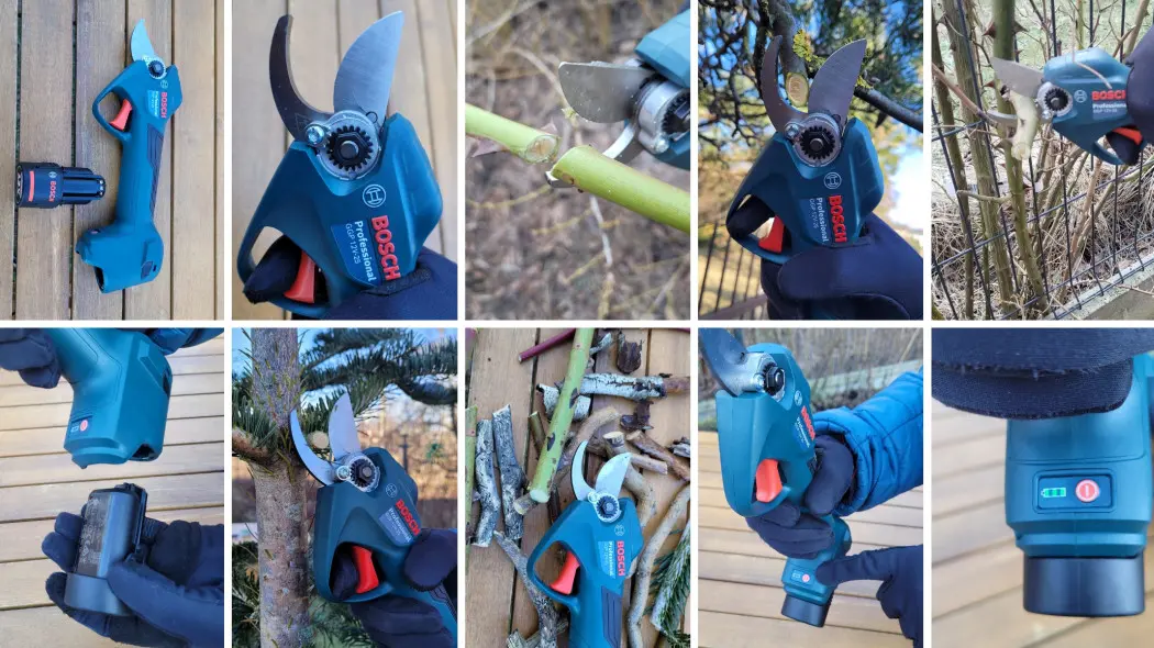 Redakcyjny test sekatora akumulatorowego Bosch GGP Pro Pruner w ogrodzie