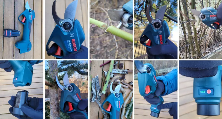 Sekator akumulatorowy Bosch – jak działa i czy warto go mieć? Testujemy w naszym ogrodzie