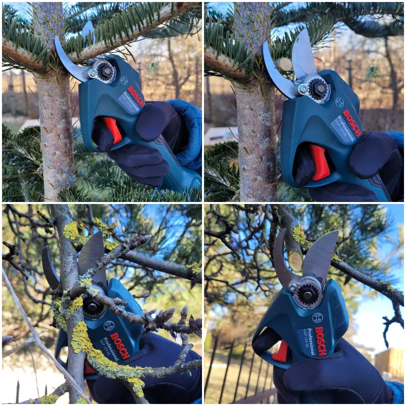 Test sekatora akumulatorowego Bosch GGP Pro Pruner w ogrodzie 