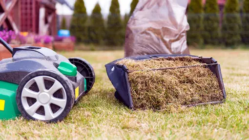 Kiedy najwcześniej można zrobić wertykulację? Ważna jest temperatura gleby, a nie powietrza