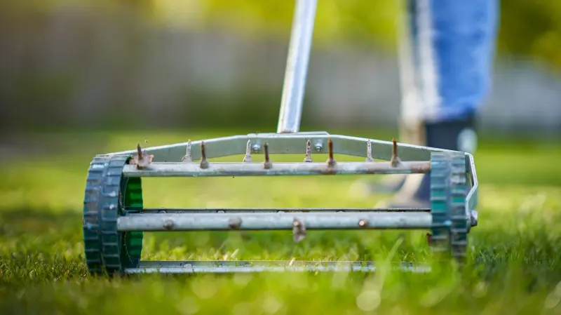 Wiosenna aeracja trawnika