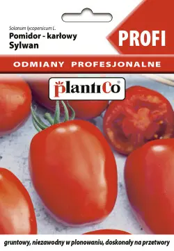 Pomidor SYLWAN