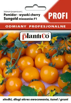 Pomidor SUNGOLD F1